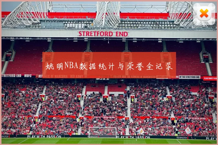 姚明NBA数据统计与荣誉全记录