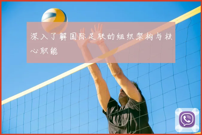 深入了解国际足联的组织架构与核心职能