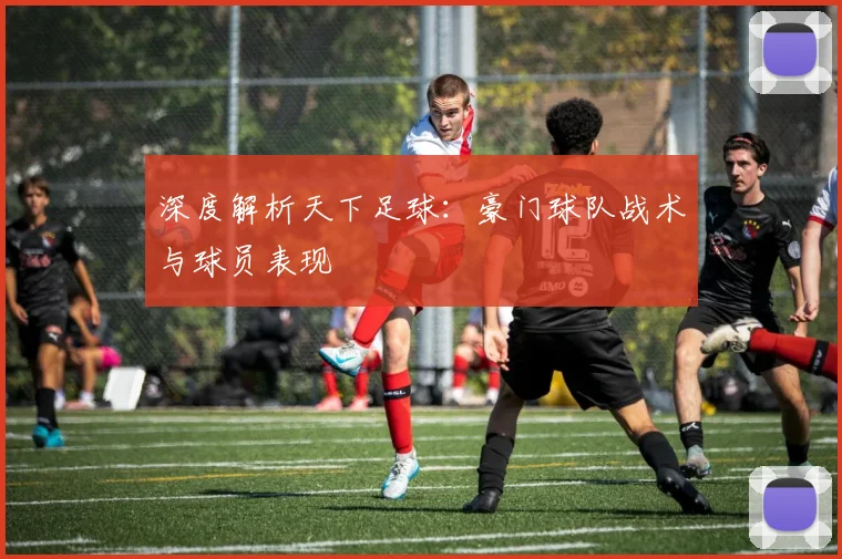 深度解析天下足球：豪门球队战术与球员表现
