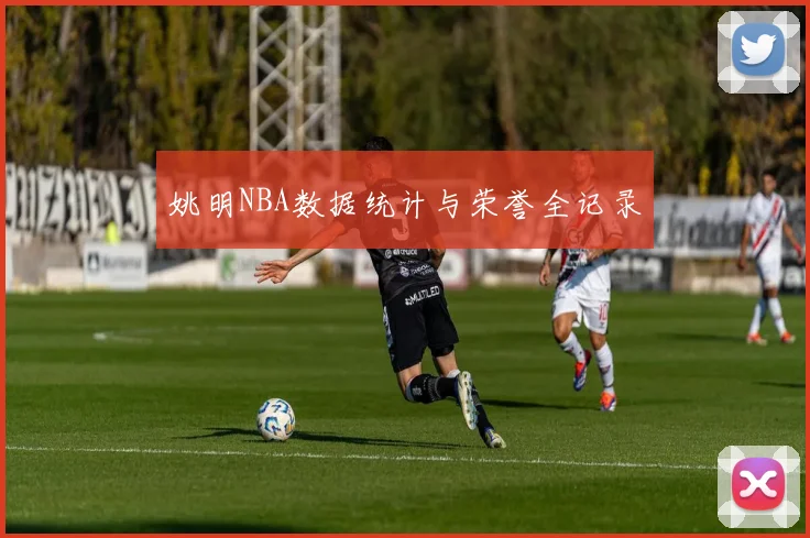 姚明NBA数据统计与荣誉全记录