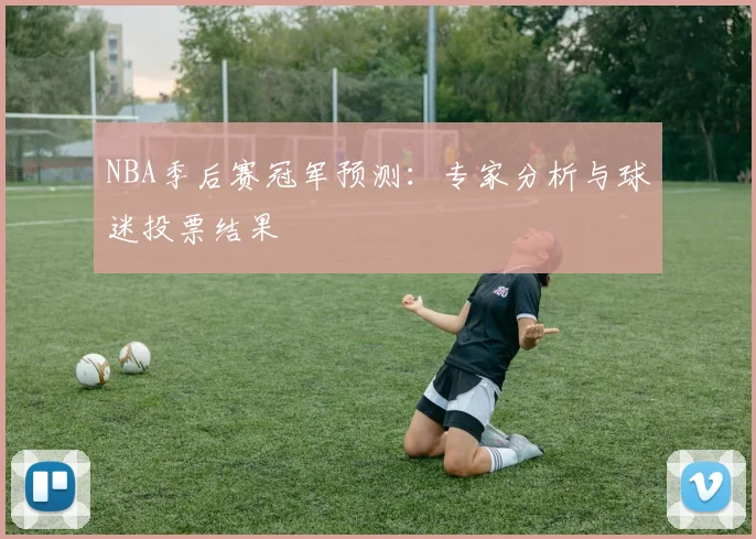 NBA季后赛冠军预测:专家分析与球迷投票结果