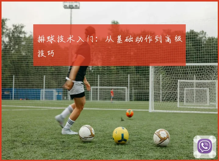 排球技术入门：从基础动作到高级技巧
