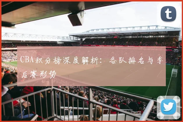 CBA积分榜深度解析：各队排名与季后赛形势